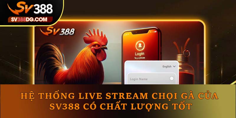 Hệ thống live stream chọi gà của SV388 có chất lượng tốt Hệ thống live stream chọi gà của SV388 có chất lượng tốt