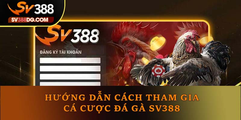 Quy cách tham gia cá cược chọi gà SV388 Quy cách tham gia cá cược chọi gà SV388